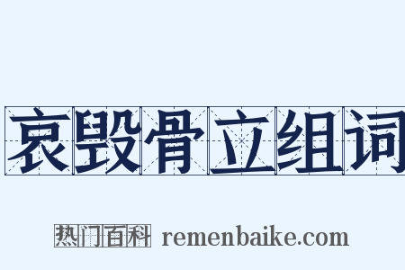 哀毁骨立组词是什么意思的图片